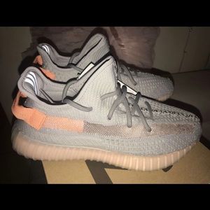 Yeezy Boost 350v2 True form